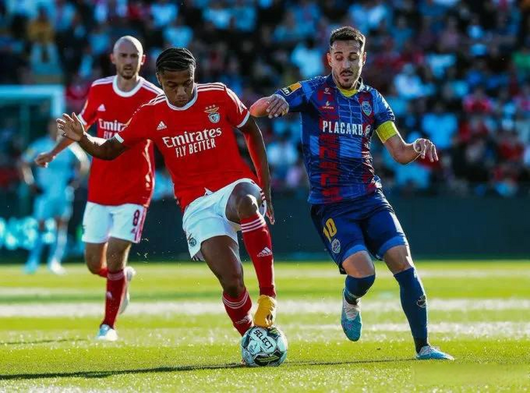 冲刺阶段体能课后，多伦多猛龙造点机会备战葡超，悬念犹存，赛程密集仍需轮换的简单介绍